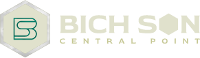 Bích Sơn Central Point